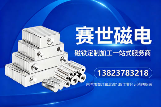 赛世磁电遂宁线上分站